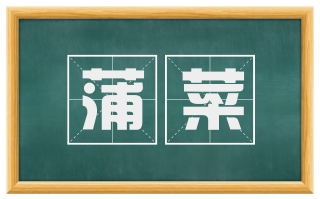 蒲菜
