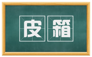 皮箱