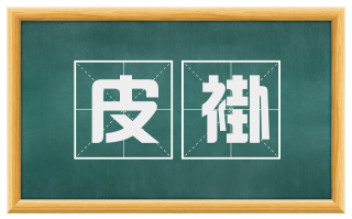 皮褂