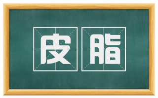 皮脂