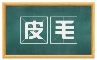 皮毛