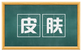 皮肤