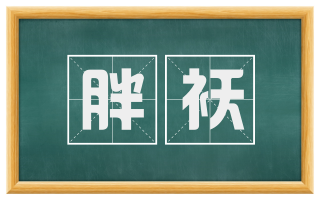 胖袄