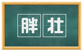 胖壮