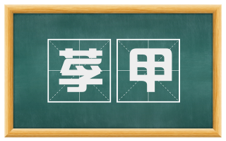莩甲