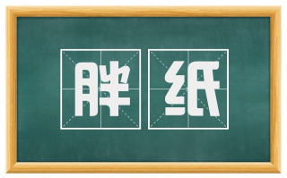 胖纸