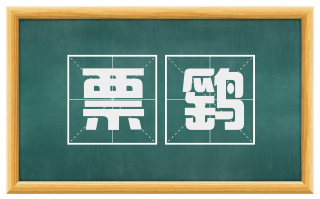 票鹞
