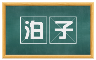 泊子