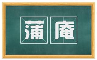 蒲庵