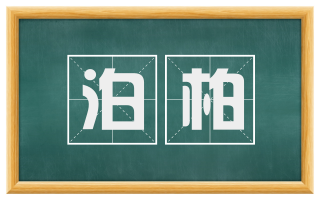 泊柏