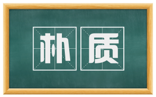 朴质