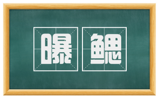 曝鳃