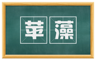 苹藻