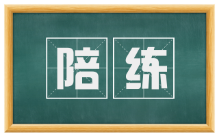 陪练