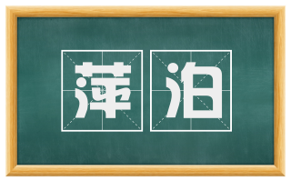 萍泊
