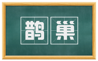 鹊巢