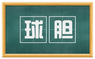 球胆