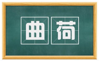 曲荷