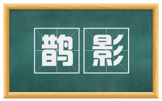 鹊影