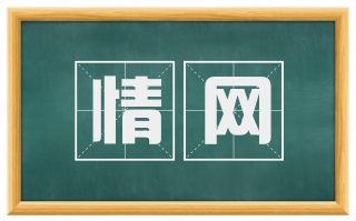 情网