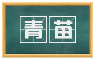 青苗