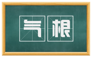 气根
