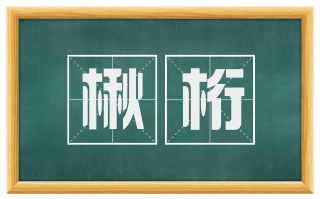 楸桁