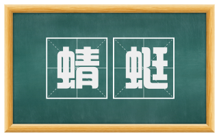 蜻蜓