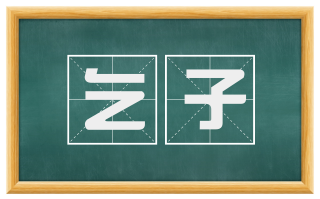 乞子