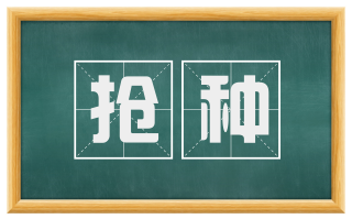 抢种