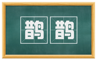 鹊鹊