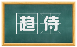 趋侍