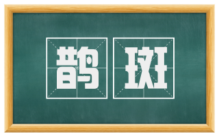 鹊斑
