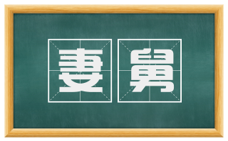 妻舅