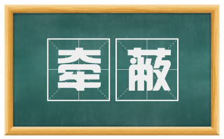 牵蔽