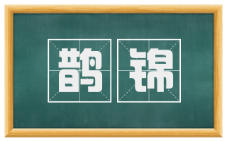 鹊锦