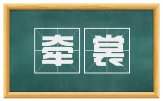 牵裳