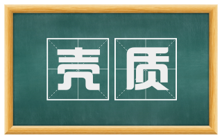 壳质