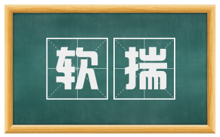 软揣