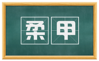 柔甲
