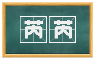 芮芮