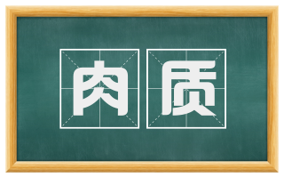 肉质
