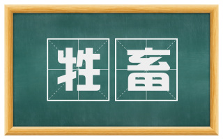牲畜