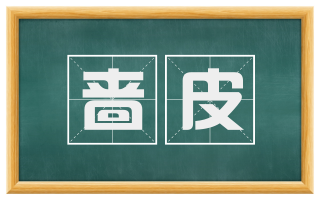 啬皮