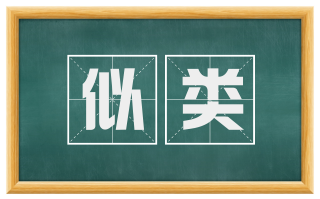 似类