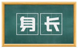 身长