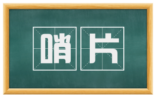 哨片
