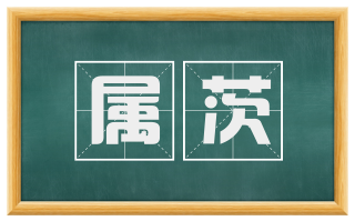 属茨