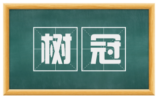 树冠
