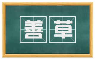 善草